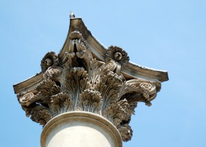 This bird was super noisy.